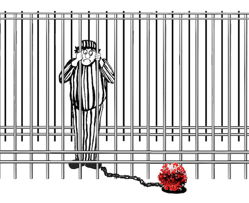 In or Out In or Out