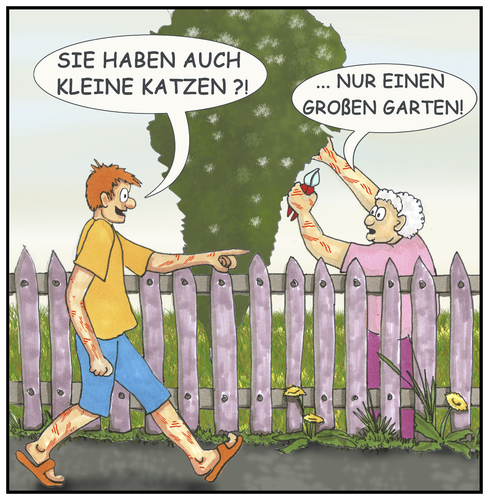 Cartoon: Kratzer (medium) by SoRei tagged unkraut,zurückschneiden,triebe,veredeln,rosenschere,gartenschere,lattenzaun,gartenzaun,sommerkleidung,short,shirt,risse,haut,brennnessel,gestrüpp,dornen,stacheln,gartenarbeit,garten,frühling,mai,kitten,katzenjunge,spielen,beißen,biss,katzen,stiche,kratzer,kratzer,stiche,katzen,biss,beißen,spielen,katzenjunge,kitten,mai,frühling,gartenarbeit,garten,stacheln,dornen,gestrüpp,brennnessel,haut,risse,shirt,short,sommerkleidung,gartenzaun,lattenzaun,gartenschere,rosenschere,veredeln,triebe,zurückschneiden,unkraut