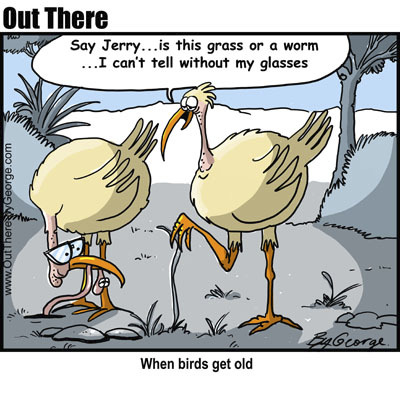 Cartoon: old birds (medium) by George tagged old,birds