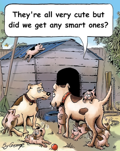 Cartoon: Puppies (medium) by George tagged puppies,dogs