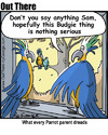 Cartoon: budgie (small) by George tagged budgie