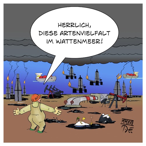 Artenvielfalt Wattenmeer Artenvielfalt Wattenmeer