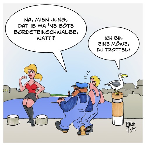 Bordsteinschwalbe Bordsteinschwalbe