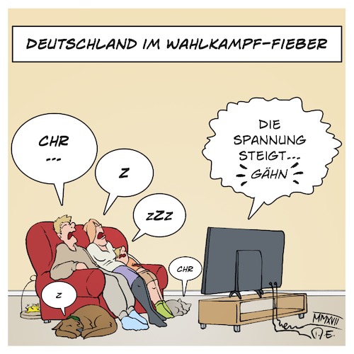 Deutschland im Wahlkampffieber Deutschland im Wahlkampffieber