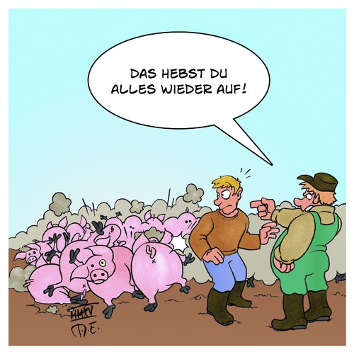 Dominoschweine Dominoschweine