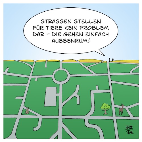 Graustreifen Graustreifen
