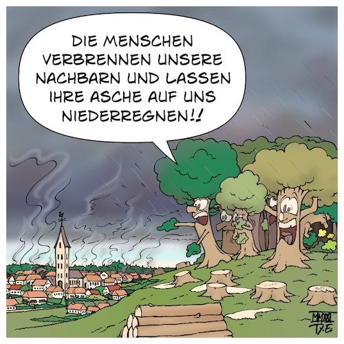 Holzfeuer Holzfeuer