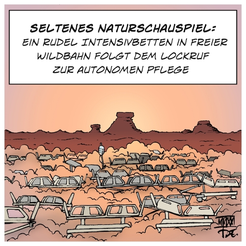 Intensivbetten Intensivbetten