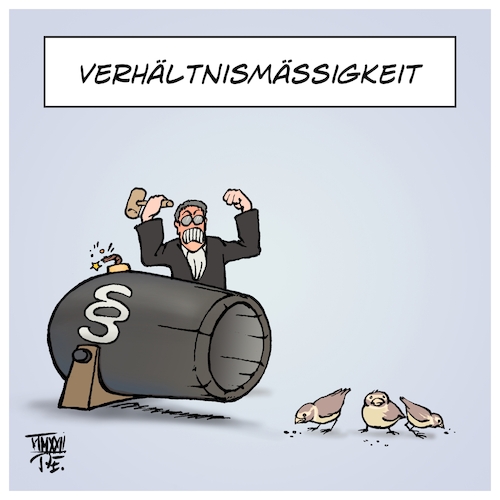 Kanonen auf Spatzen Kanonen auf Spatzen