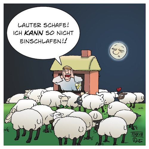 Lauter Schafe Lauter Schafe