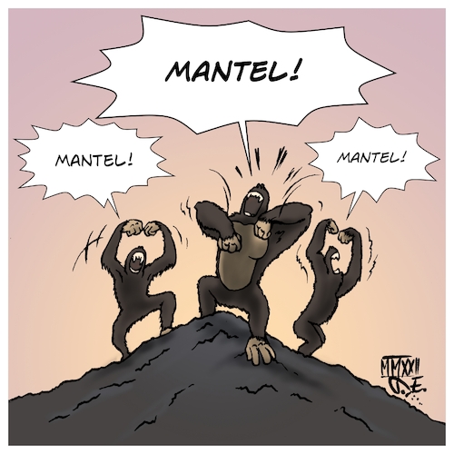 Mantel Mantel
