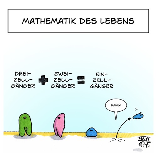 Cartoon: Mathematik des Lebens (medium) by Timo Essner tagged mann,frau,fortpflanzung,natur,leben,mathe,mathematik,lauf,sinn