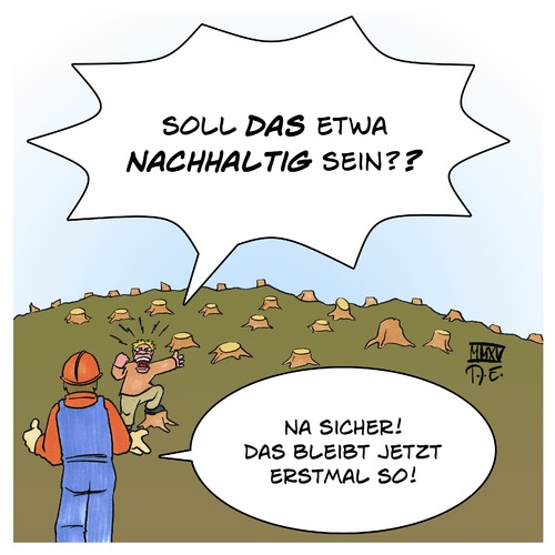 Nachhaltige Forstwirtschaft Nachhaltige Forstwirtschaft