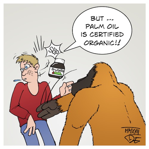 Palm Oil Palm Oil