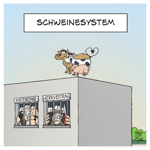 Schweinesystem Schweinesystem