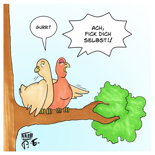 Tauben Tauben