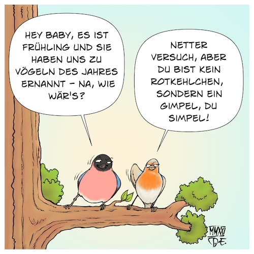 Vogel des Jahres 2021 Vogel des Jahres 2021