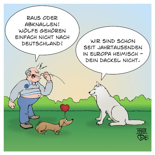 Wolf vs. Dackel Wolf vs. Dackel