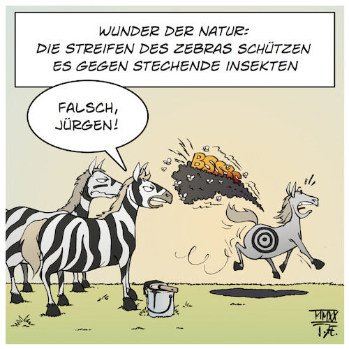 Cartoon: Zebrastreifen (medium) by Timo Essner tagged natur,biologie,wissenschaft,forschung,pferde,zebras,zebrastreifen,insekten,mücken,bremsen,pferdebremsen,insektenschutz,tarnung,streifen,umwelt,umweltschutz,naturschutz,klimaschutz,tiere,fauna,cartoon,timo,essner,natur,biologie,wissenschaft,forschung,pferde,zebras,zebrastreifen,insekten,mücken,bremsen,pferdebremsen,insektenschutz,tarnung,streifen,umwelt,umweltschutz,naturschutz,klimaschutz,tiere,fauna,cartoon,timo,essner