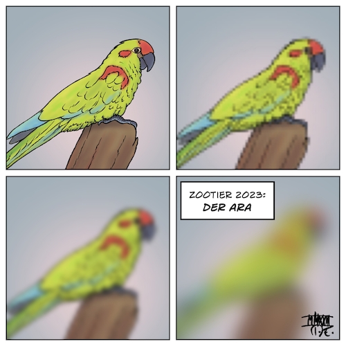 Zootier des Jahres 2023 Ara Zootier des Jahres 2023 Ara