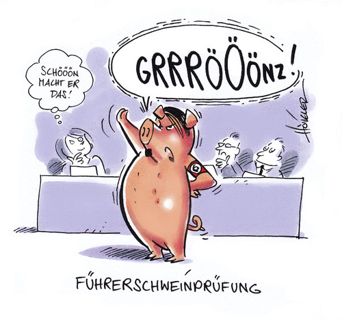 Cartoon: Führerschweinprüfung (medium) by Hoevelercomics tagged führer,schwein,adolf,hitler,pi,pigs,führerschein