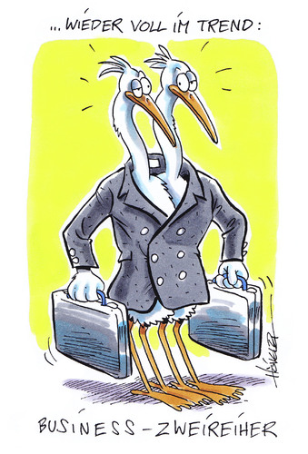 Cartoon: Zweireiher (medium) by Hoevelercomics tagged mode,fashion,reiher,seevogel,seevögel