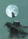 Cartoon: Wolf (small) by Agim Sulaj tagged wolf,mond,moon,night