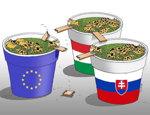 Cartoon: euspolu (medium) by Lubomir Kotrha tagged eu,slovakia,hungary,problems,eu,slovakia,hungary,problems