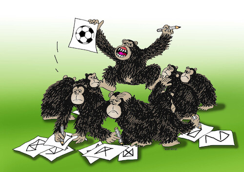 futgoril futgoril