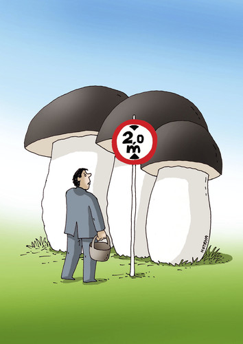 Cartoon: mushrooms 02 (medium) by Lubomir Kotrha tagged mushrooms,autumn,forest,weather,food
