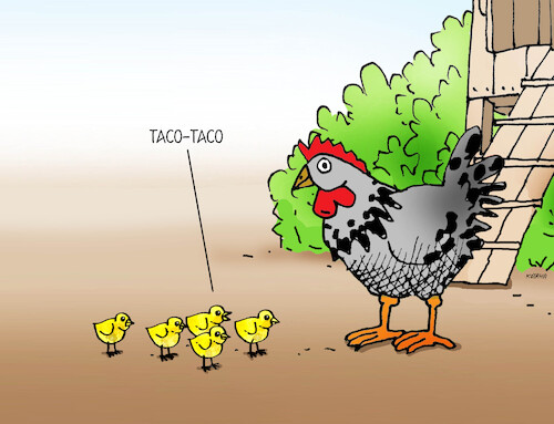 Cartoon: trump-taco (medium) by Lubomir Kotrha tagged trump,tariffs,taco,trump,tariffs,taco