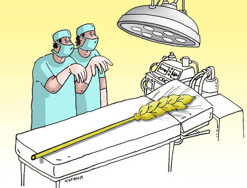 Cartoon: harvest grain mowing (medium) by Lubomir Kotrha tagged harvest,grain,mowing,harvest,grain,mowing