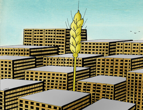 Cartoon: harvest grain mowing (medium) by Lubomir Kotrha tagged harvest,grain,mowing,harvest,grain,mowing