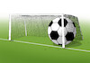 futmaxlopt