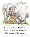 Cartoon: circus band (small) by armadillo tagged circus,band,elephant