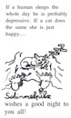 Cartoon: Cat Nap (small) by Schimmelpelz-pilz tagged cat,nap,sleep,sleeping,kitty,luck,lucky,happy,happiness,depression,depressive