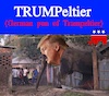 Cartoon: TRUMPeltier meme (small) by Schimmelpelz-pilz tagged meme,trampeltier,trumpeltier,republican,elephant,donald,trump,president,usa,united,states,of,america,criminal,freak,right,winged,neonazi,nazi