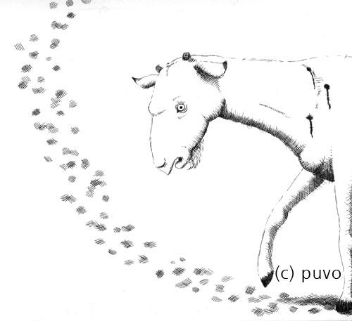 Cartoon: Endlos schleifen. (medium) by puvo tagged ziege,goat