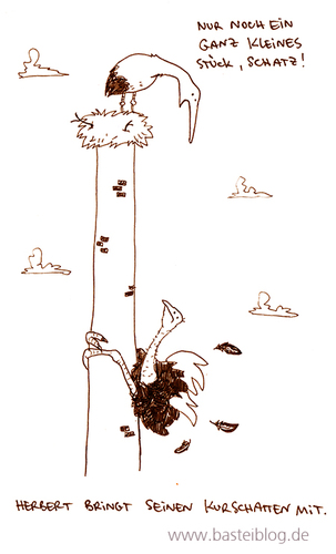 Cartoon: Kurschatten. (medium) by puvo tagged storch,strauß,kurschatten,flirt,urlaub,urlaubsflirt,vogel,frühling,nest,strochennest,afrika,zugvogel,migrant,bird,stork,ostrich,spring,vacation,holiday,love,liebe