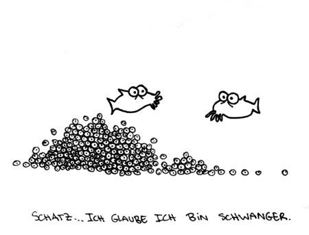 Cartoon: Schwanger. (medium) by puvo tagged schwanger,pregnant,fisch,fish