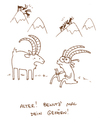 Cartoon: Gehörn. (small) by puvo tagged gehörn,gehirn,brain,goat,ziege,bergziege,mountain,berg,gebirge,buch,book,read,steinbock,ibex,kraft,power,gewalt,violence,klugheit,smart,klug,schlau,köpfchen