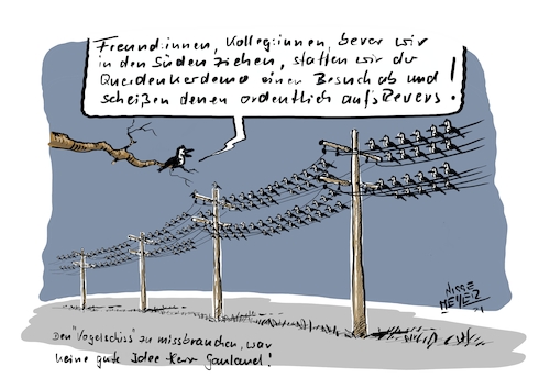 Cartoon: Angeschissen... (medium) by Jori Niggemeyer tagged vogelschiss,alexandergauland,afd,querdenker,noafd,vögel,rache,vergeltung,vogelschiss,alexandergauland,afd,querdenker,noafd,vögel,rache,vergeltung