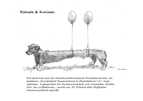 Cartoon: Dem Dackel... (medium) by Jori Niggemeyer tagged dackel,hund,luftballon,zucht,rasse,rassemerkmale,dackellähme,sinnfreiheit,von,züchtungen,niggemeyer,joricartoon,cartoon