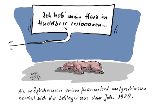 Die Herztransplantation... Die Herztransplantation...