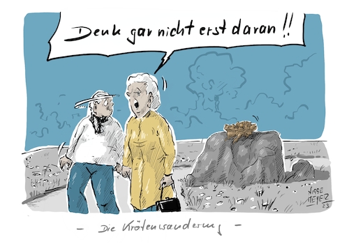 Die Krötenwanderung ... Die Krötenwanderung ...