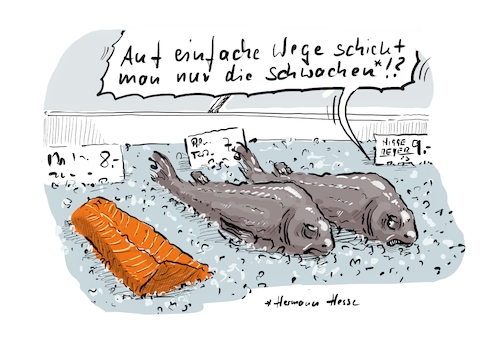 Die richtige Einstellung ... Die richtige Einstellung ...