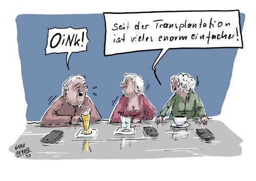 Die Transplantation... Die Transplantation...