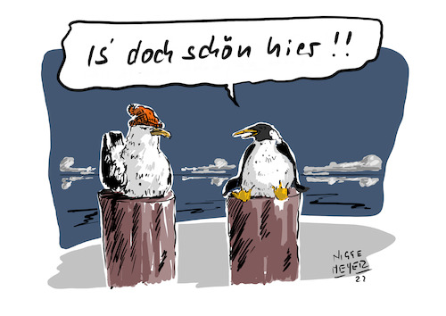 Cartoon: Frühling 2022... (medium) by Jori Niggemeyer tagged winter,frühling,nordsee,ostsee,april,pinguin,möwe,kalt,familie,wintereinbruch,schleswigholstein,mecklenburgvorpommern,humor,joricartoon,niggemeyer,cartooon,cartoonart,illustration,illustrator,karikatur,satire,cartoondrawing,witzigebilder,cartoon,winter,frühling,nordsee,ostsee,april,pinguin,möwe,kalt,familie,wintereinbruch,schleswigholstein,mecklenburgvorpommern,humor,joricartoon,niggemeyer,cartooon,cartoonart,illustration,illustrator,karikatur,satire,cartoondrawing,witzigebilder