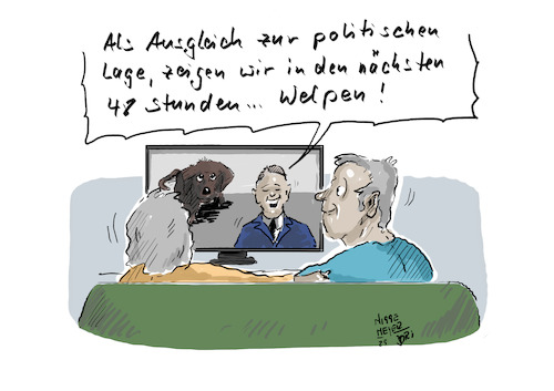 Nicht nur ... Nicht nur ...