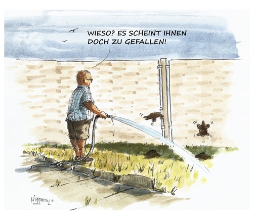 Cartoon: Sommerfreuden im Schrebergarten (medium) by Jori Niggemeyer tagged karikatur,cartoon,joricartoon,niggemeyer,mensch,tier,idylle,schrebergarten,sprengen,maulwürfe,rasen,erfrischung,abkühlung,heiß,hitze,sommer,garten